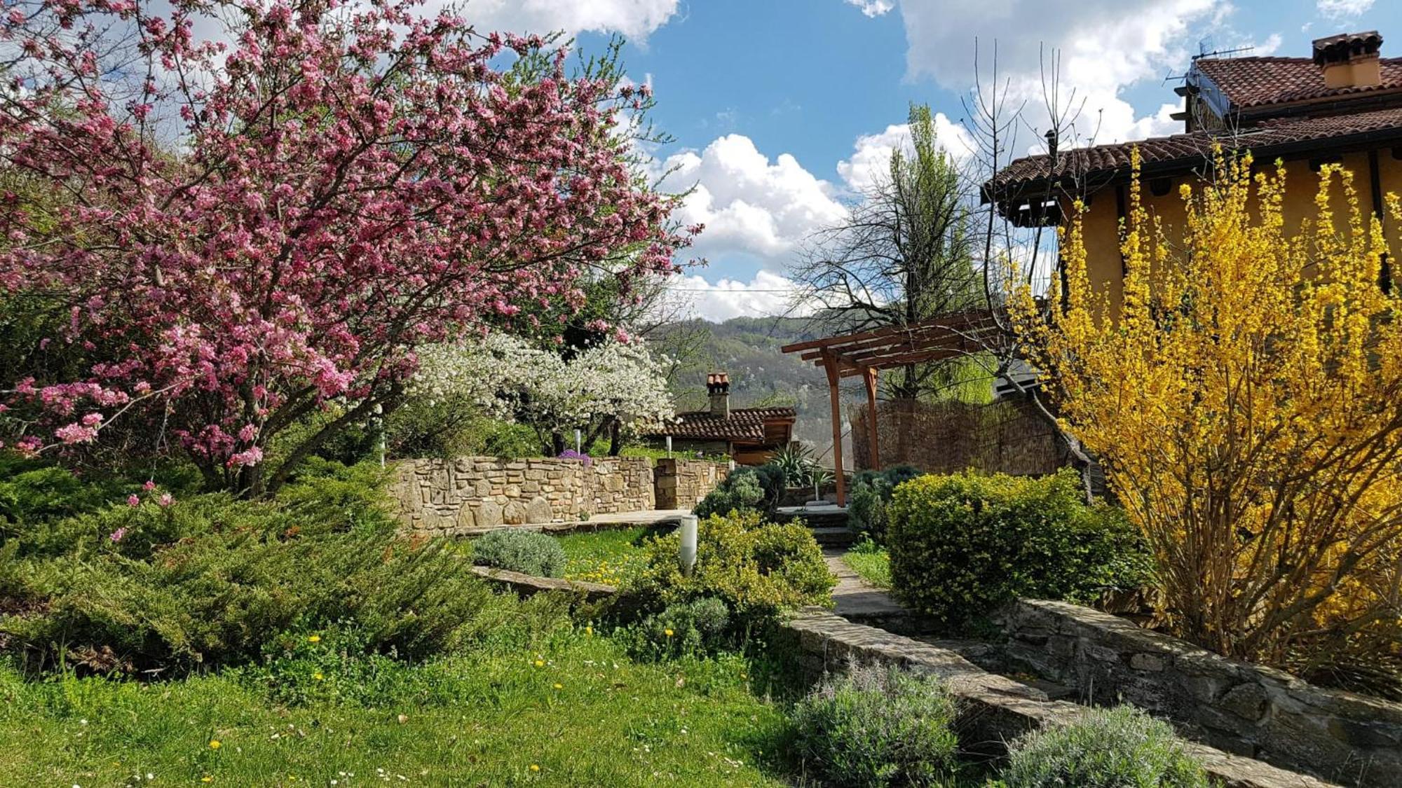 Agriturismo Fattoria Ca Di Sole San Benedetto Val di Sambro Exterior foto